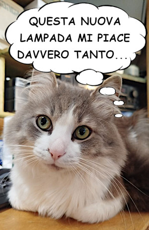 Il pensiero di Lillo per la nuova realizzazione