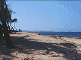 Gallipoli: mare e spiaggia